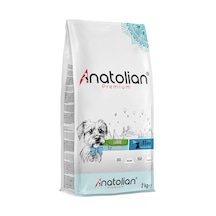 Anatolian Premium Mini Puppy Kuzu Etli Küçük Irk Yavru Köpek Maması 2 KG
