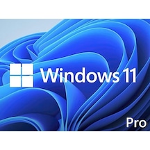 Ms Windows 11 Pro Fqc-10556 64Bıt Tr  Oem