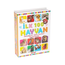 1741 Flash Card İlk 100 Hayvanlar Eğitici Kartlar