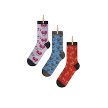 Köpek Temalı Dört Mevsim Unisex 3'lü Renkli Soket Çorap Seti Ccu71