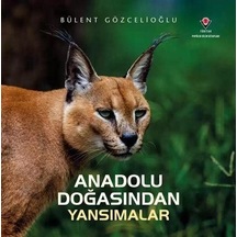 Anadolu Doğasından Yansımalar Karton Kapak / Bülent Gözcelioğlu