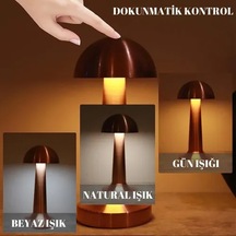 Diğer