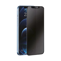 Newface Apple İphone 16 Plus 3d Antistatik Hayalet Cam Ekran Koruyucu