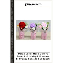 Çok Renkli