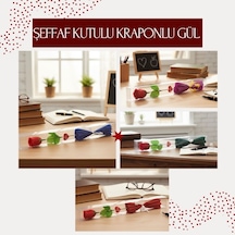 Çok Renkli
