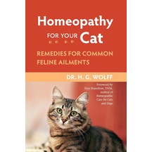 Homeopathy For Your Cat: Remedies For Common Feline Ailments