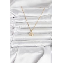 Mey İthalat 316l Çelik Zincir Gold Renk Yonca Model Kadın Kolye - Özel Seri Meyeb69d616a2839f91173f0e4766 altın