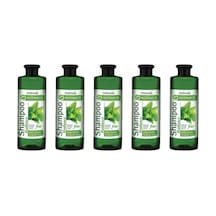 Botanıcs Isırgan Özlü Parlaklık Veren Şampuan 500 Ml 5 Adet Tüm Saç Tipleri