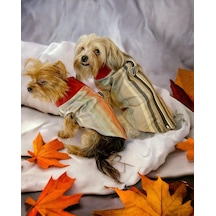 Kemique Stripe Orange Su İtici Köpek Yağmurluğu
