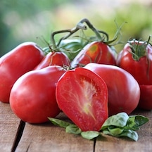 İtalian Red Pear Domates Tohumu 15 Tohum 1 Paket