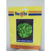 Neobi Tereyağlı Kıvırcık Marul Tohumu 10 Gr 1 Adet