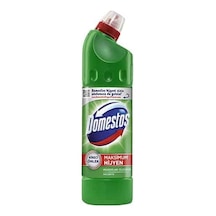 Domestos Dağ Esintisi 750gr