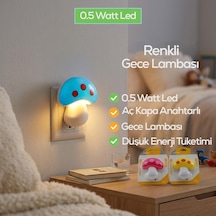 Diğer