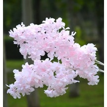 Rüzgar Yapay Çiçekçilik 95 CM Japon Kiraz Çiçeği