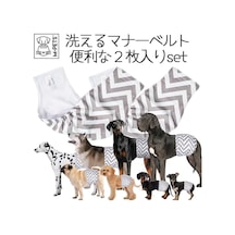 M-pets Erkek Köpekler İçin Yıkanabilir Külot 2'li L