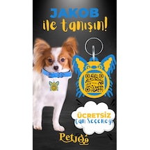 Petjoo 8.Jakob Sarı-Mavi Qr'lı Köpek Künyesi