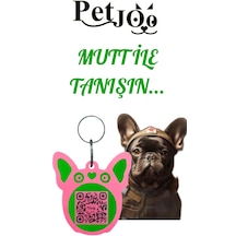 Petjoo 1.mutt Üst Renk Pembe Alt Renk Yeşil Qr'lı Köpek Künyesi