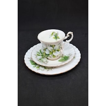 Trillium Bone China Porselen Duble Kahve Fincanı Ve Tabakları 3 Parça 120 Ml Yeşil