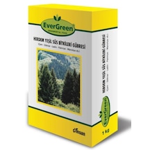 Evergreen Herdem Yeşil Ağaç Ve Çalılar Için Fidan Gübresi 1 KG