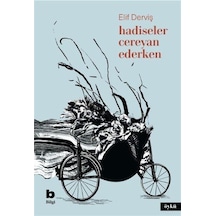 Hadiseler Cereyan Ederken / Elif Derviş