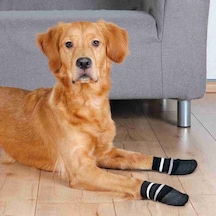 Trixie Kaymaz Çizgili Desen Köpek Çorabı 2 Adet