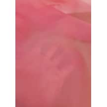 Carolın Pembe 09 300 Cm Pembe