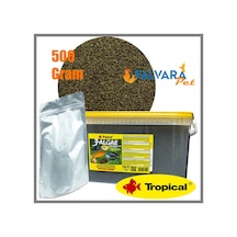 500 G Tropical 3-Algae Granulat-Kovadan Bölme Granül Yem