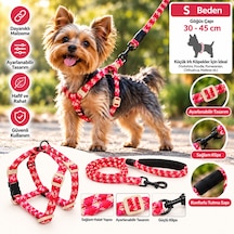 Ally Paws Köpek Göğüs Tasması Ve Gezdirme Kayışı Seti S Beden 8mm X 120cm - Kırmızı Çok Renkli