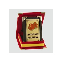 Hayatımın Anlamına Plaketi 1