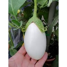 50 Adet Tohum Nadir Organik Beyaz Japon Dolmalık Patlıcan Tohumu