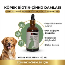 Köpek Bağışıklık Biotin Çinko