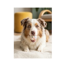 Yakala Getir Super Quality Color Köpek Topu