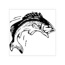 Balık Folyo Sticker 60cm Uzunluk Siyah
