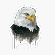 Araba Için Kartal Oto Sticker Yapıştırması Etiket 17Cm R4