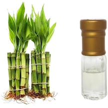 Bambu Yağı Buhar Distile Natıral Koku 1 ML