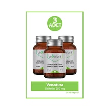 Venatura Sitikolin 250 Mg 30 Kapsül 3 Adet