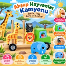 Ahşap Hayvanlar Kamyonu
