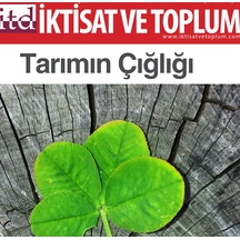 İktisat Ve Toplum Dergisi 82. Sayı