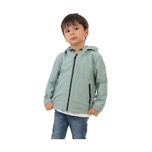 Mint Yeşili