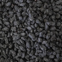 Talas Kuruyemiş Siyah Çekirdeksiz Üzüm 1 KG