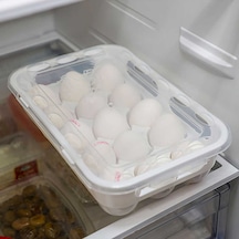 Porsima Org-31 15 Bölmeli Kilit Kapaklı Yumurta Saklama Kabı