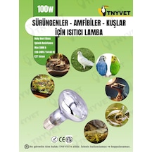 Tnyvet 100 Watt / Gün Işığı Güneş Lambası Isıtıcı Lamb