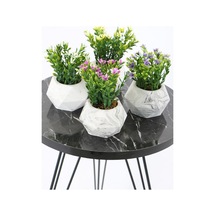 Yapay Çiçek Deposu Beton Saksıda Yapay Bitki 4lü Set Model 4