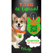 Turuncu