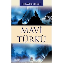 Mavi Türkü - Dilaver Cebeci - Panama Yayıncılık
