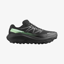 Salomon Ultra Flow 2 Gtx Erkek Koşu Ayakkabısı L47981400 Çok Renkli