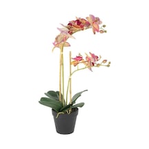 Fuşya Limoni Yapay Orkide, Saksılı Dekoratif Çiçek, İkili Dal, 53 Cm, Ev Dekorasyonu İçin Diğer