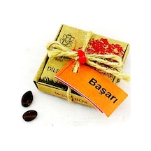 Dilek Tohumları  Başarı