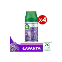 Lavanta
