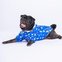 Pawstar Mavi Stars Yağmurluk Küçük Ve Orta Irk-20196